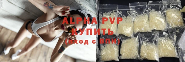 стаф Богданович