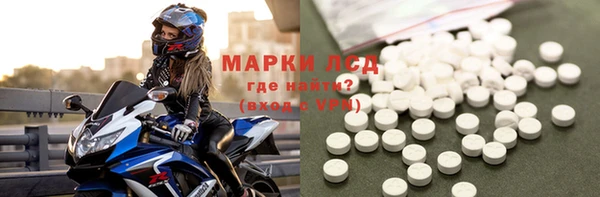 стаф Богданович