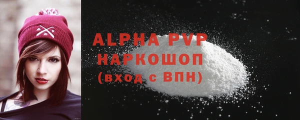 стаф Богданович