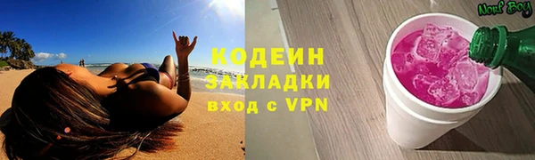 стаф Богданович