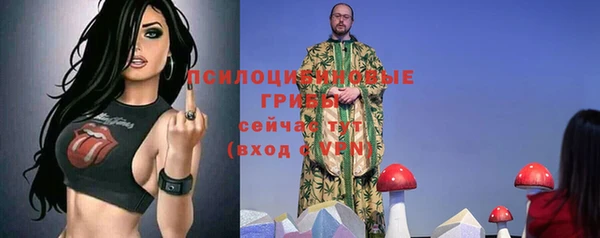 прущий лед Богородицк