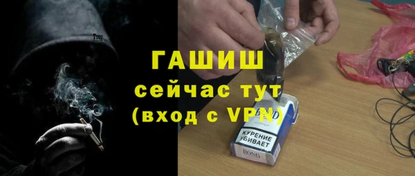 стаф Богданович