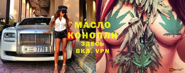 стаф Богданович