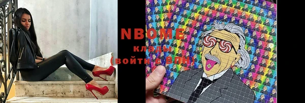 стаф Богданович