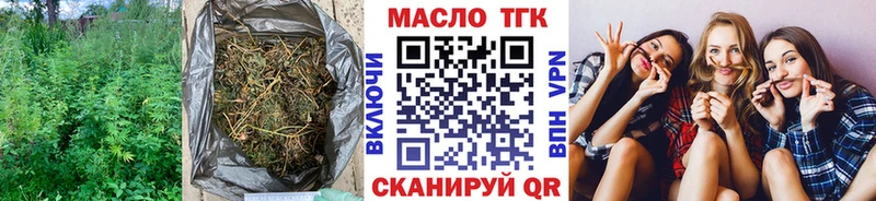 Купить закладки  Нововоронеж  ТГК вейп с тгк 